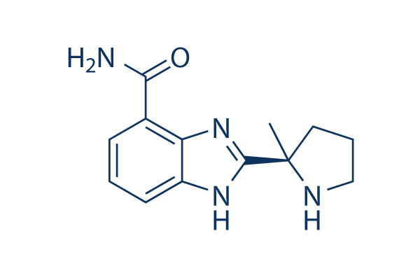 Veliparib- Bulat Pharmaceutical