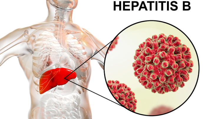 20.WhatarevariousstatesofHepatitisB various states of Hepatitis B